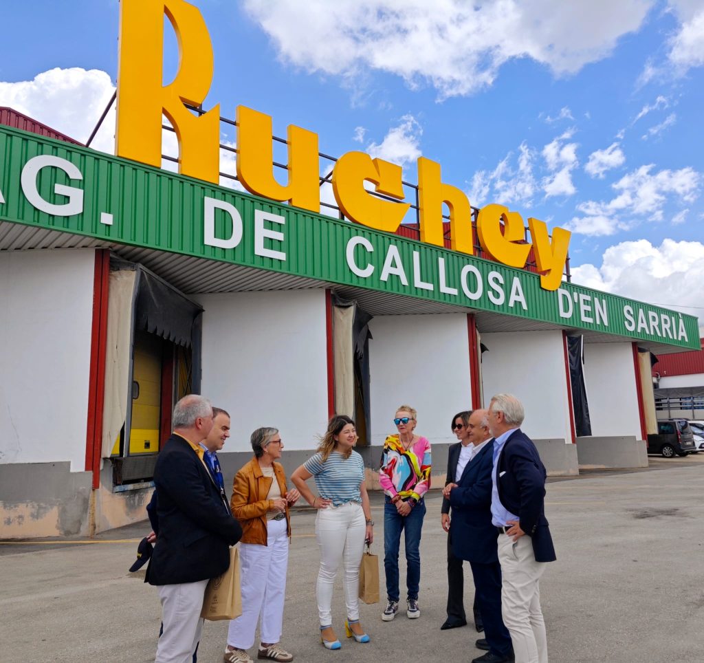 Callosa d’en Sarrià refuerza junto a la Generalitat el impulso al níspero y a las infraestructuras hídricas del municipio