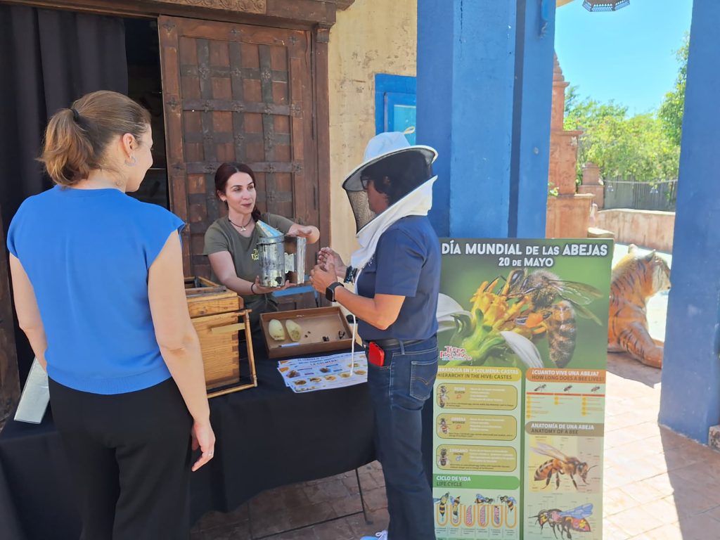 Terra Natura Benidorm celebra el Día Mundial de las Abejas con una actividad educativa sobre polinizadores