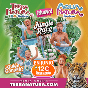 300x300 junio