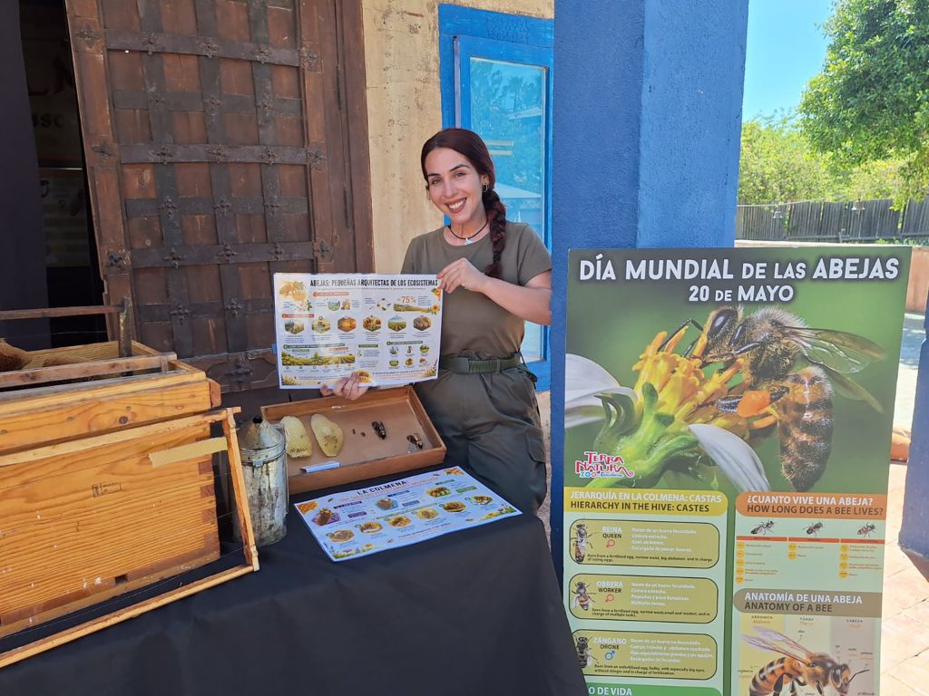 Terra Natura Benidorm celebra el Día Mundial de las Abejas con una actividad educativa sobre polinizadores