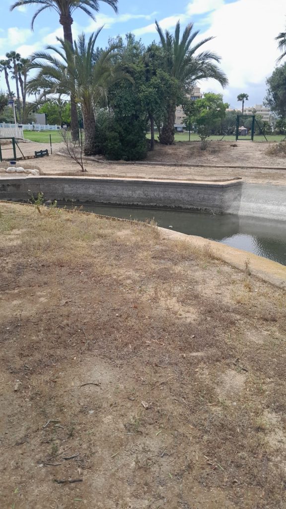 Adiós a los patos y tortugas del campo de golf de l’Albir: el Ayuntamiento explica el polémico vaciado de la balsa 2