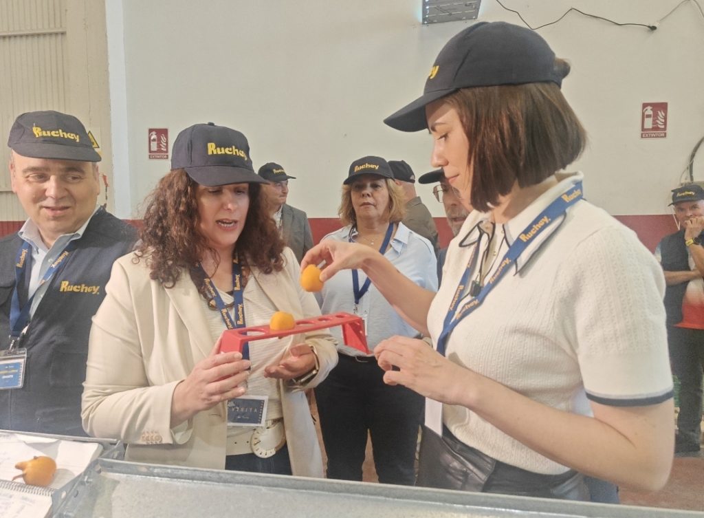 Cooperativa Agrícola de Callosa Diana Morant 