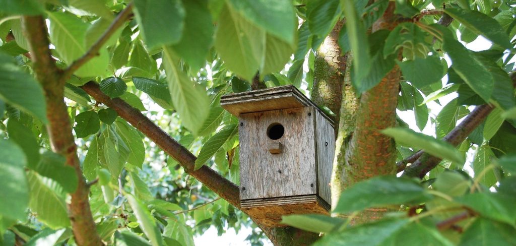 Benidorm organiza un taller de cajas nido y hoteles de insectos el 16 de mayo
