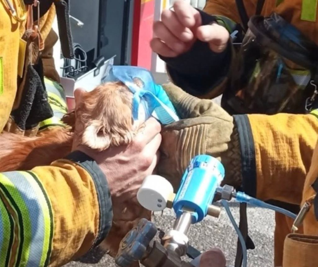 Conato de incendio vivienda la Nucía 