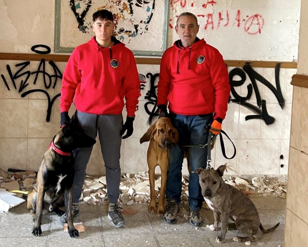 Venezuela Venezuela Perros rescate terremoto Hache Llop 