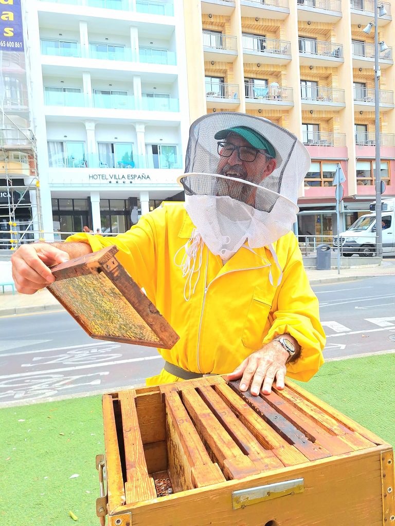 Terra Natura Benidorm impulsa la educación ambiental en una jornada sobre biodiversidad de la Marina Baixa