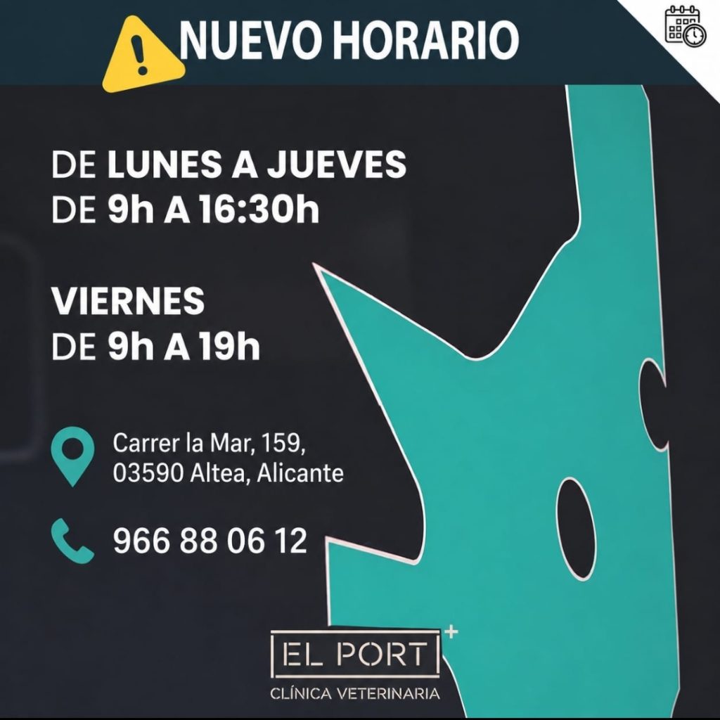 Altea instala papeleras fabricadas con redes de pesca recicladas en el paseo Sant Pere para impulsar la sostenibilidad 3