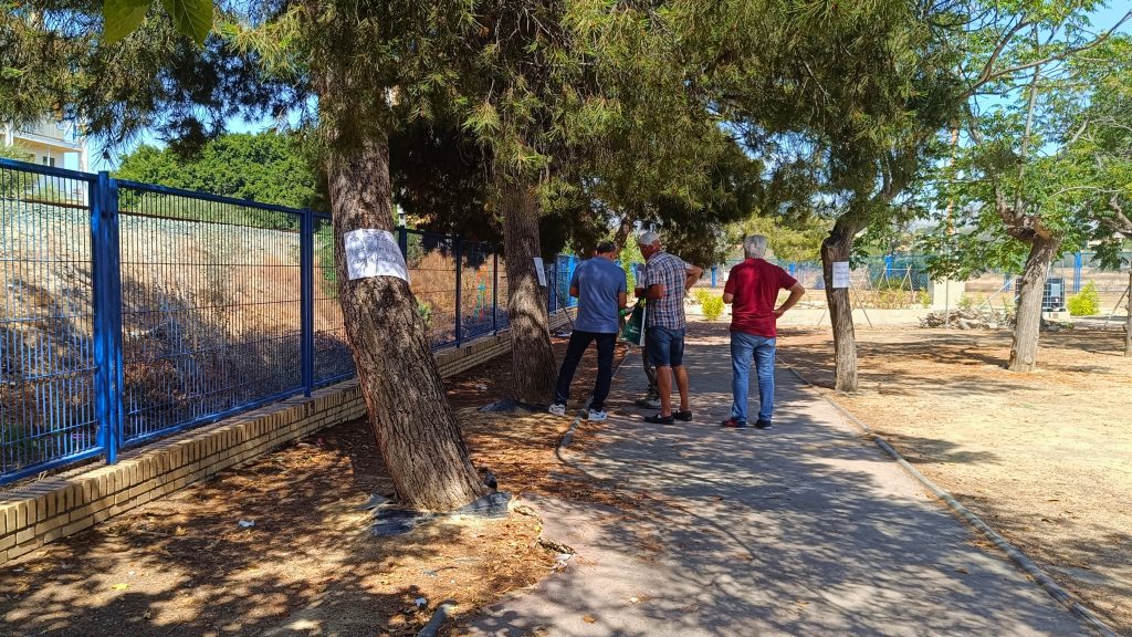 Villajoyosa y Xoriguer acuerdan conservar gran parte de los árboles del IES Marcos Zaragoza