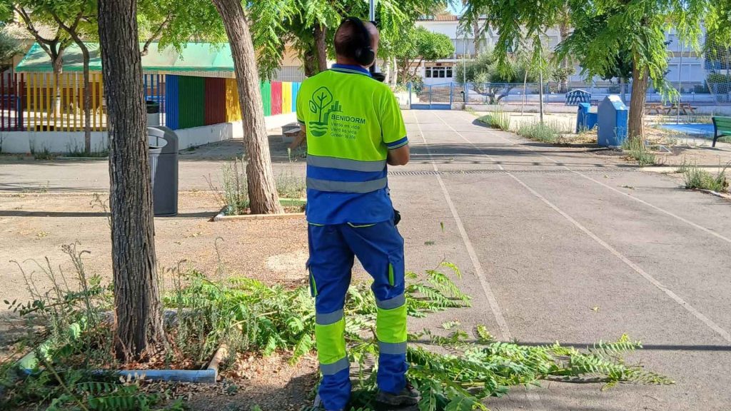 Benidorm Pone a Punto la Jardinería de 13 Colegios para el Nuevo Curso