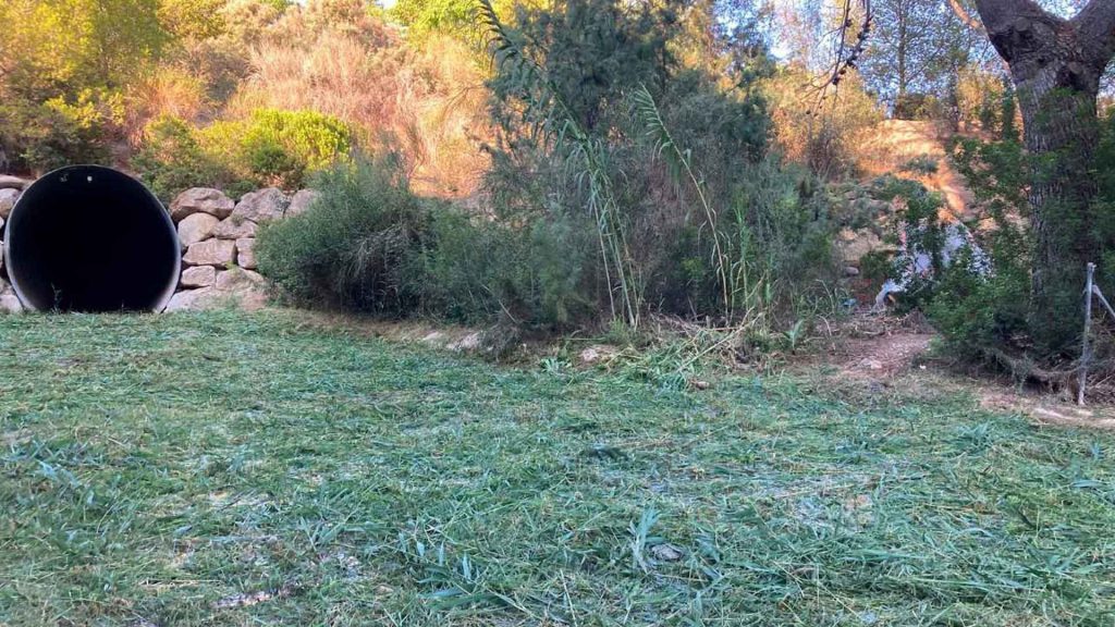 Benidorm culmina la limpieza de barrancos ante la llegada de lluvias