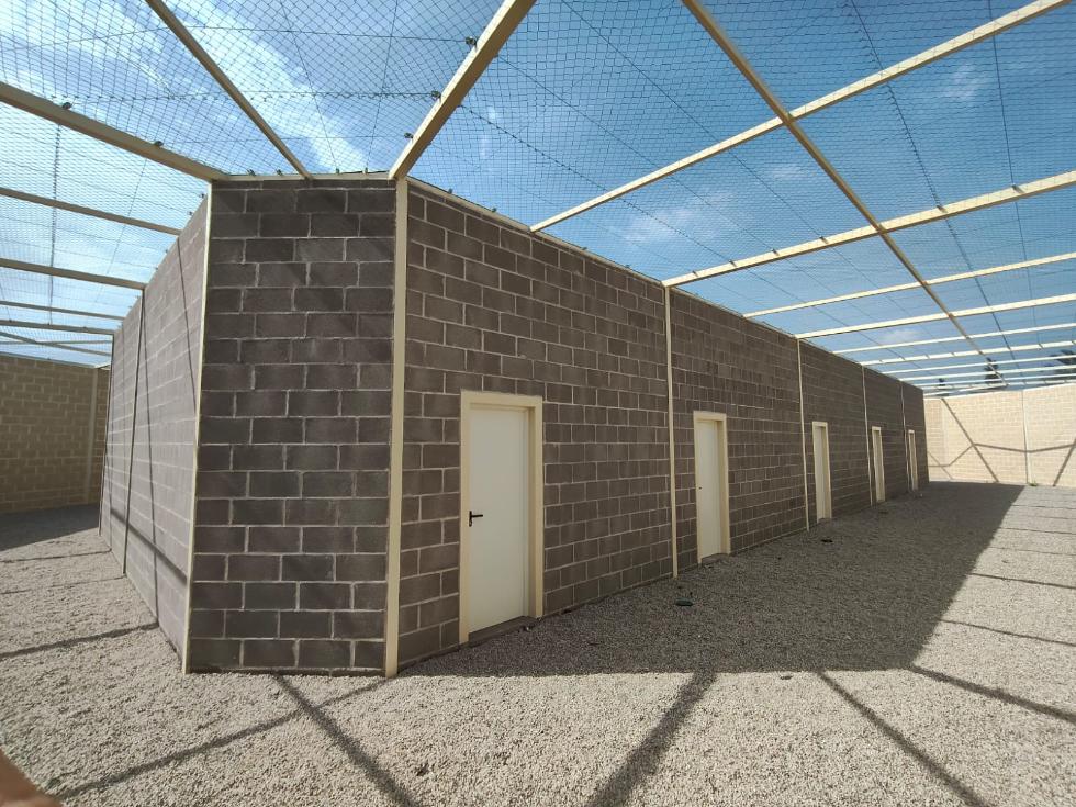 La Generalitat instala en el centro de recuperación de Santa Faz un voladero pionero para la rehabilitación de aves rapaces