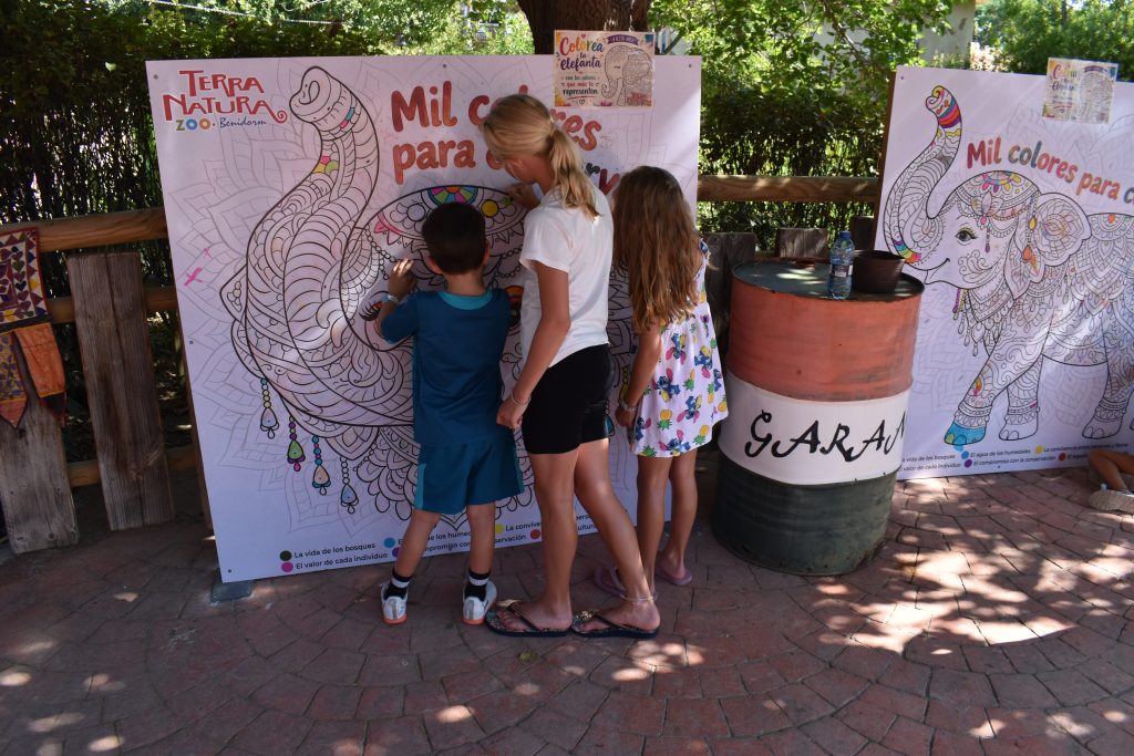El 54º cumpleaños de la elefanta Petita une educación y tradición hindú en Terra Natura Benidorm 2