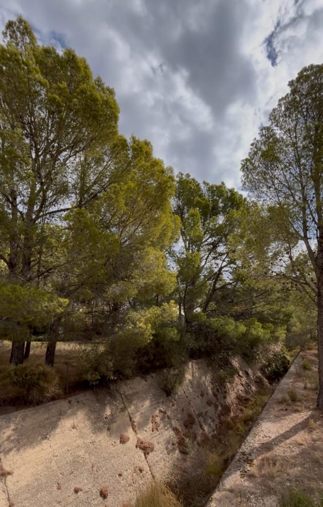 Finestrat contratará a 5 personas para prevención de incendios con LABORA