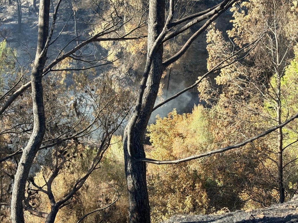 Voluntarios de Protección Civil Marina Baixa colaboran con bomberos y regulan el tráfico en la CV-70 tras reactivarse focos en el incendio de Polop.