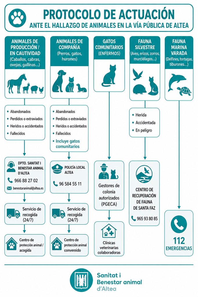 Altea aprueba tres protocolos municipales para reforzar la protección animal