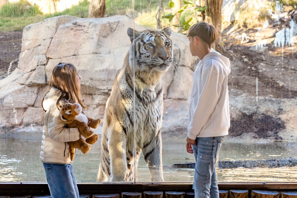 Pase de Invierno Terra Natura Benidorm: Acceso Ilimitado por 40€