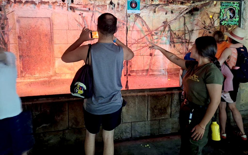 Terra Natura Benidorm desmitifica creencias populares sobre distintas especies animales mediante actividades educativas