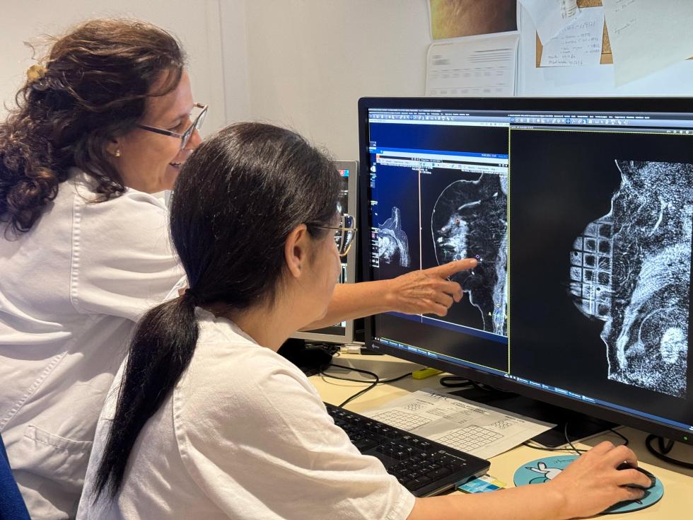 Sanidad examina a más de 311.000 mujeres en el cribado de cáncer de mama en la Comunitat Valenciana