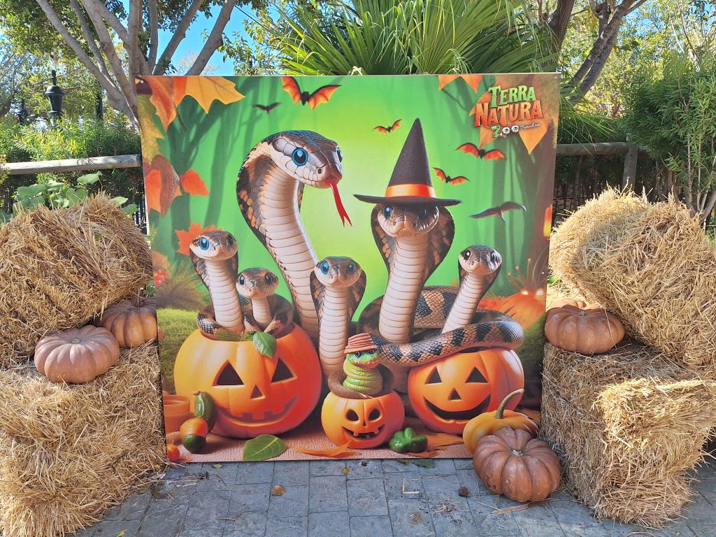 Terra Natura Benidorm celebra Halloween con un mensaje contra la extinción de especies